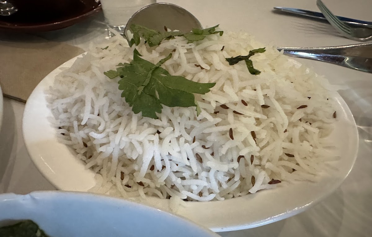 Swaad India's Zest-8